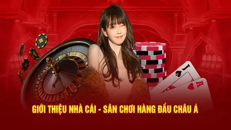 Giới thiệu K8BET: Trang cá cược an toàn